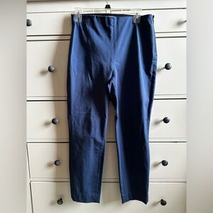 Everlane Blue Pants size 10